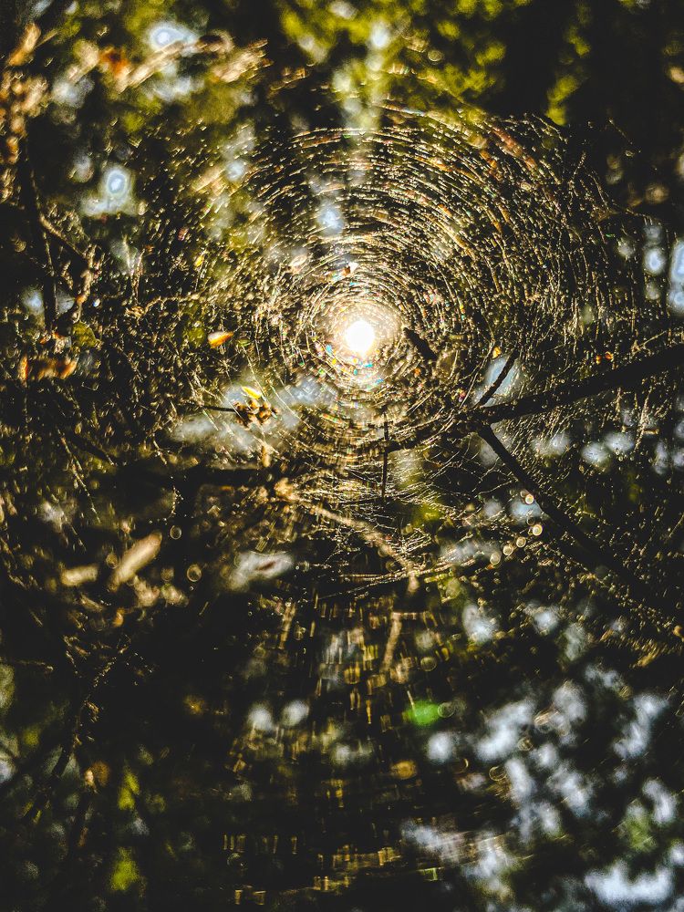 Photograph by Татьяна Санеева