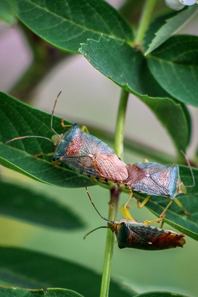 Photograph by Ольга Чазова