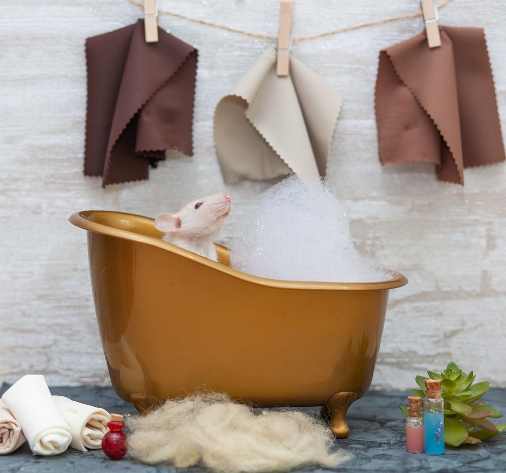 Photograph by Анна Малютина