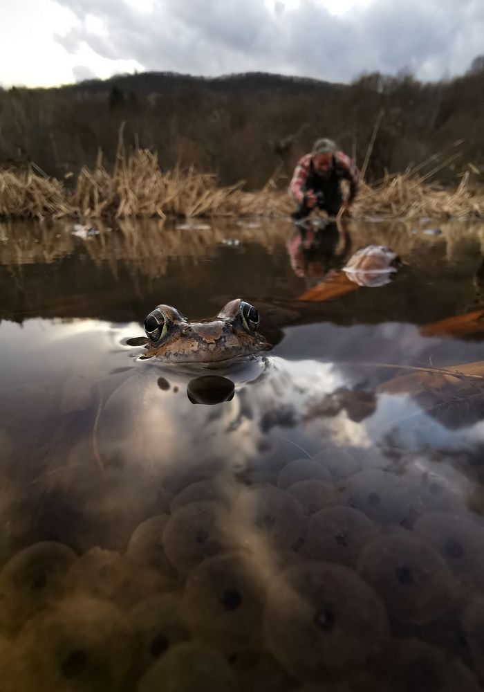 Photograph by Мартин Попов