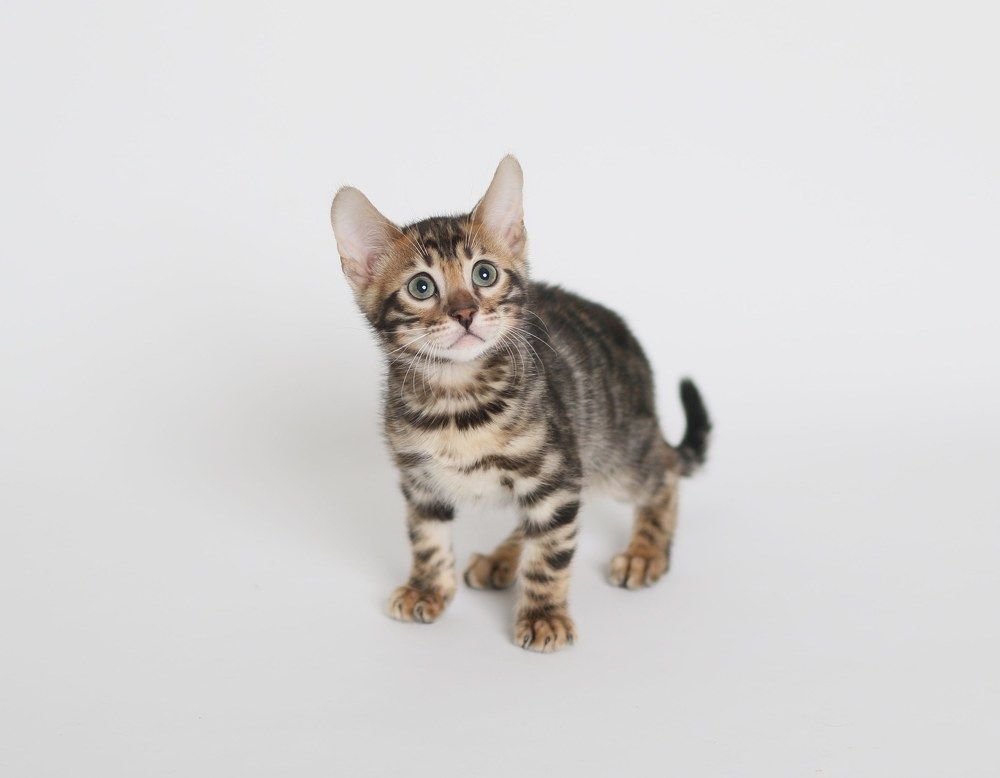 Photograph by Maarjana Bartow