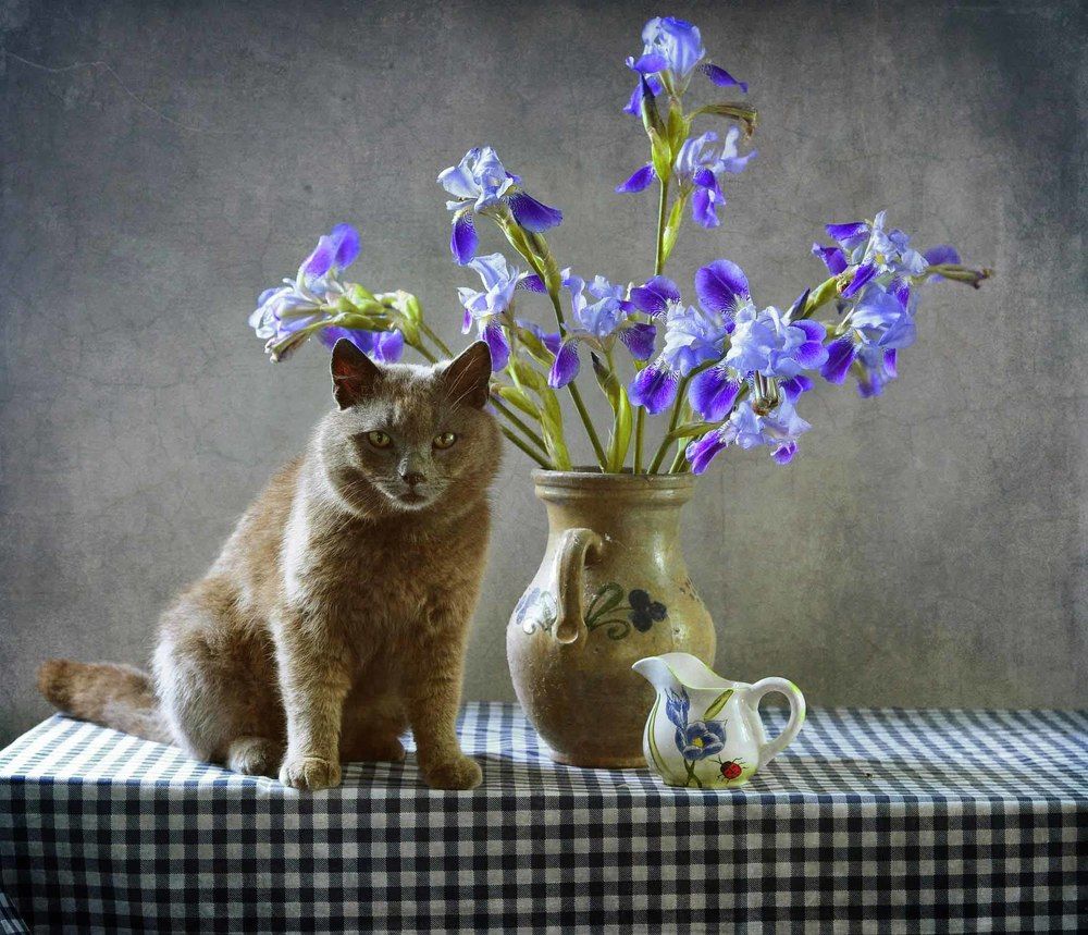 Photograph by Svitlana Andrieianova