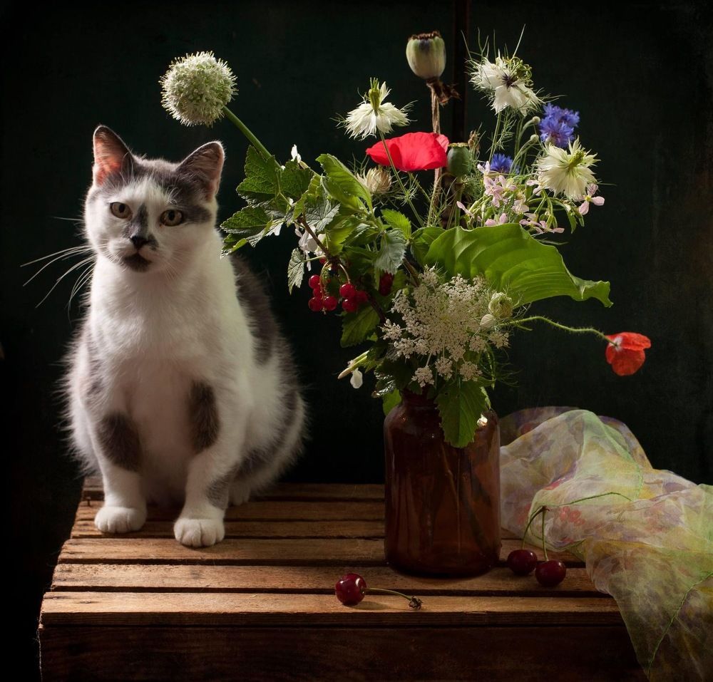 Photograph by Svitlana Andrieianova