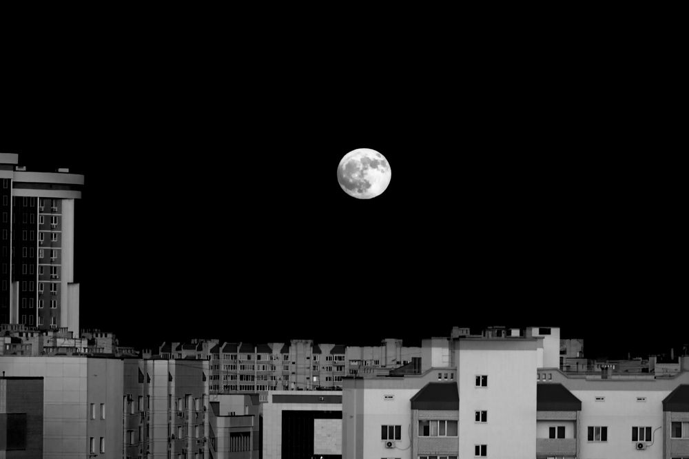 Photograph by Владимир Рогулькин