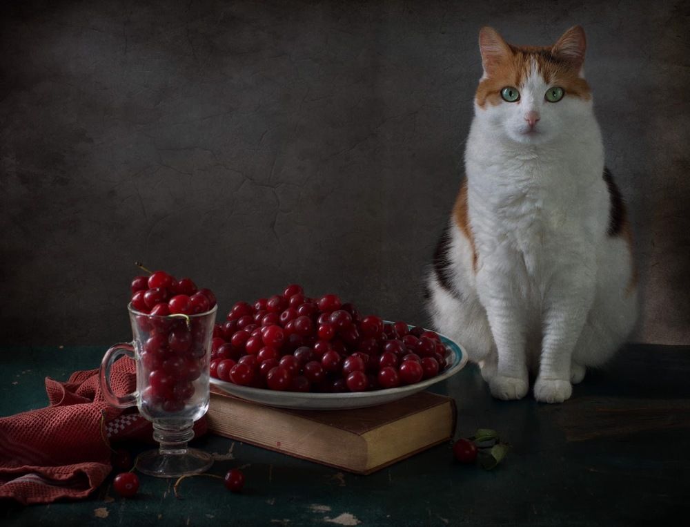 Photograph by Svitlana Andrieianova