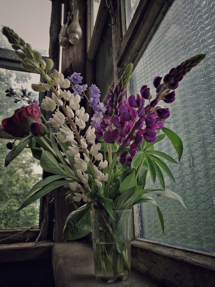 Фотография автора НАТАЛЬЯ СЕВЕР