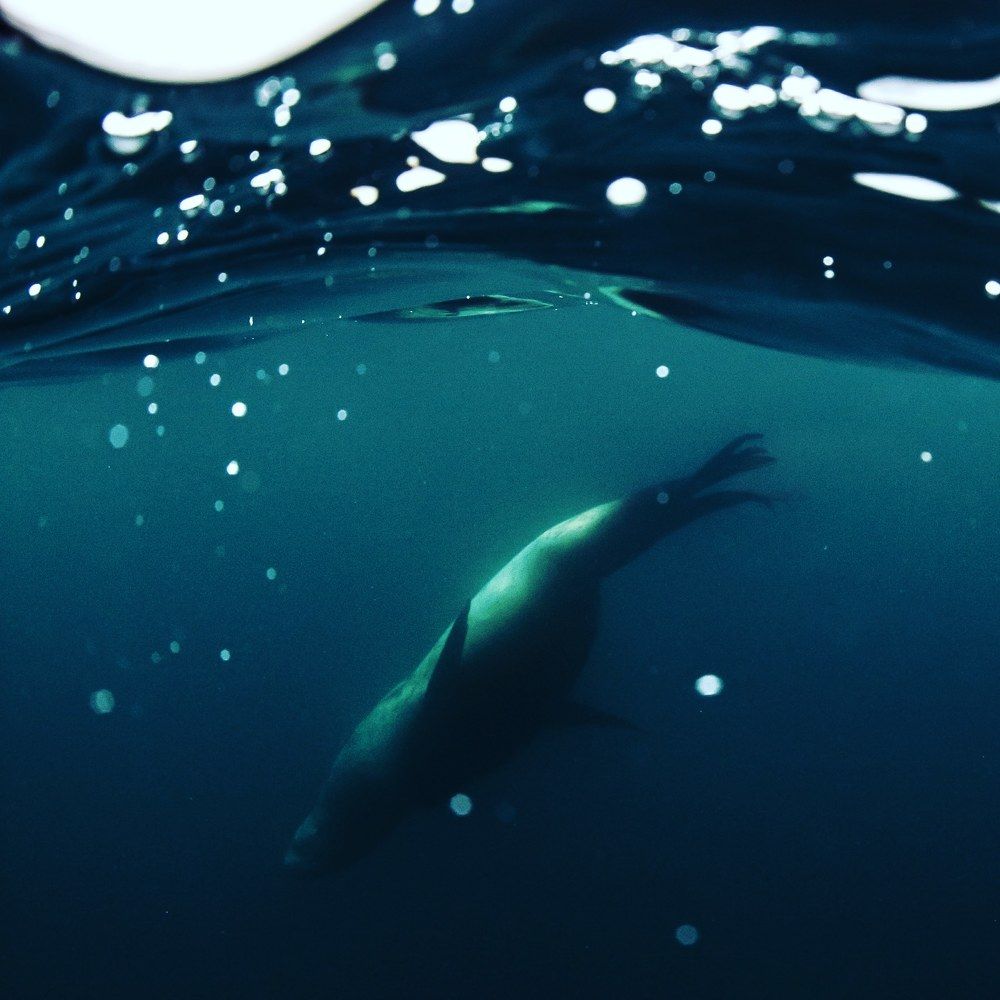 Photograph by Karasev Pavel