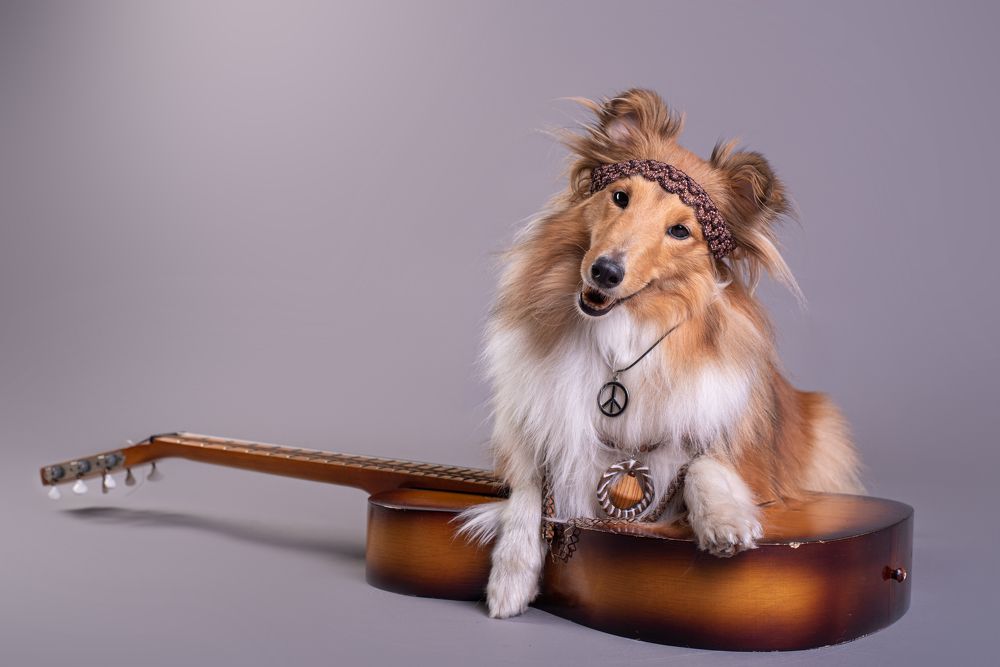 Photograph by наталья залогина