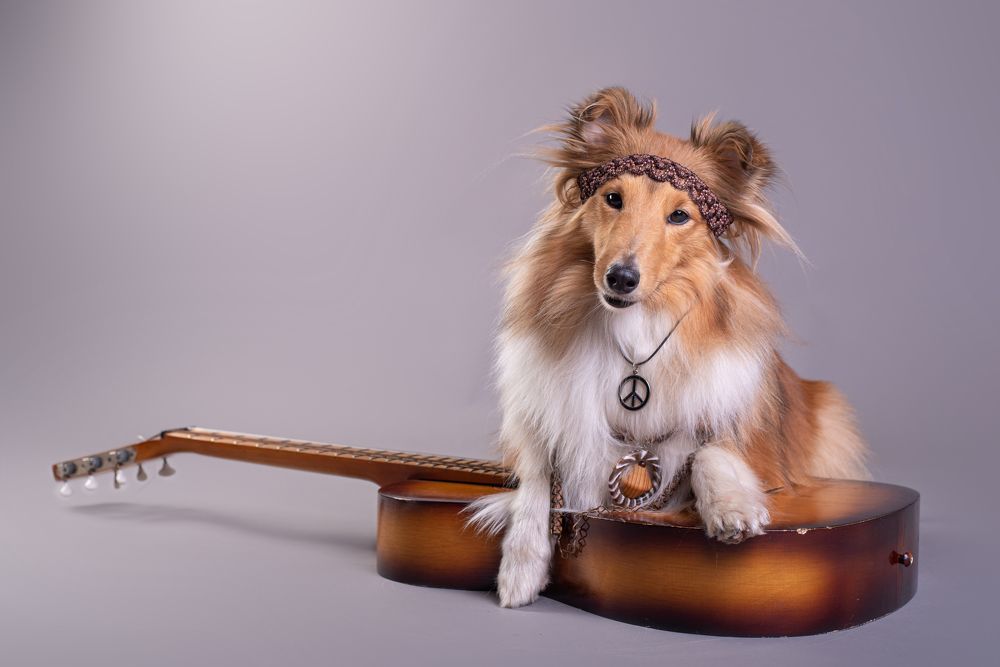 Photograph by наталья залогина