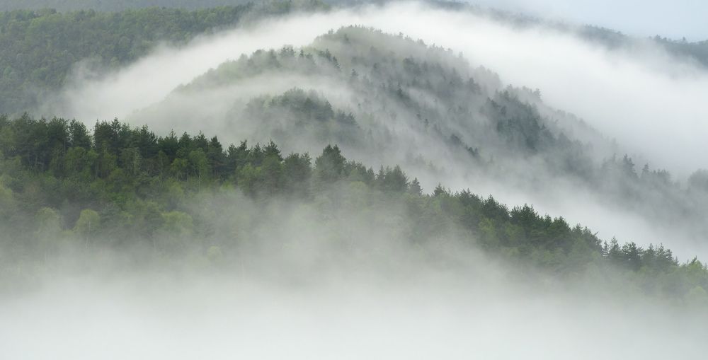 Photograph by Леонтьев Константин