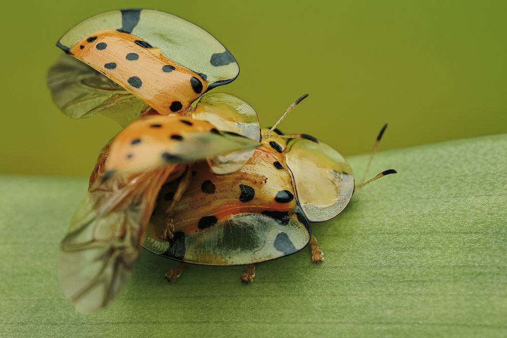 Photograph by Jacob Ng