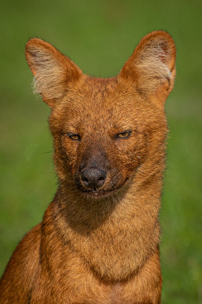 Photograph by Dipanjan Chakraborty