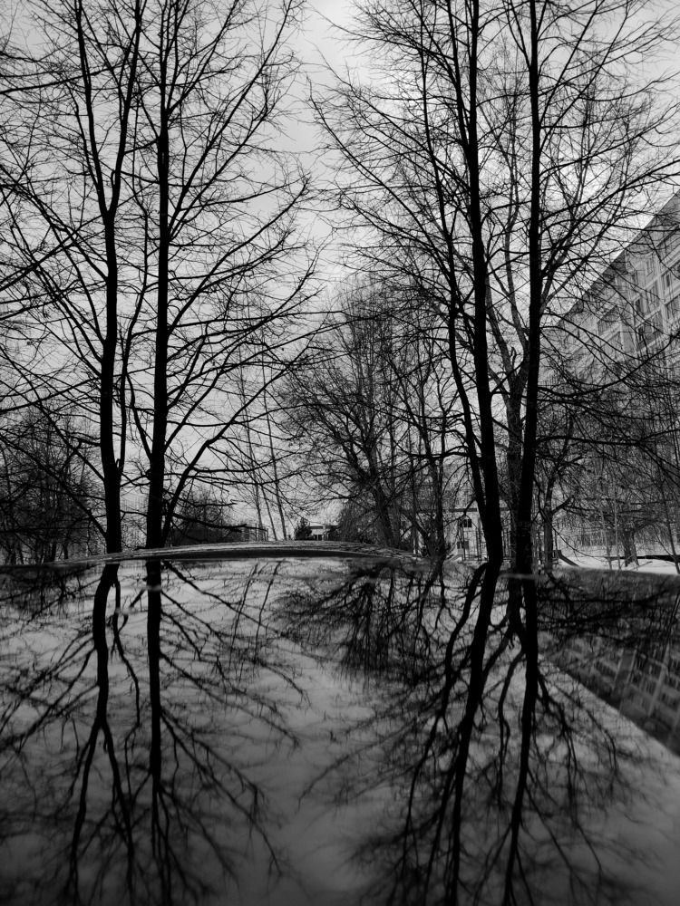 Photograph by Ирина Ященко