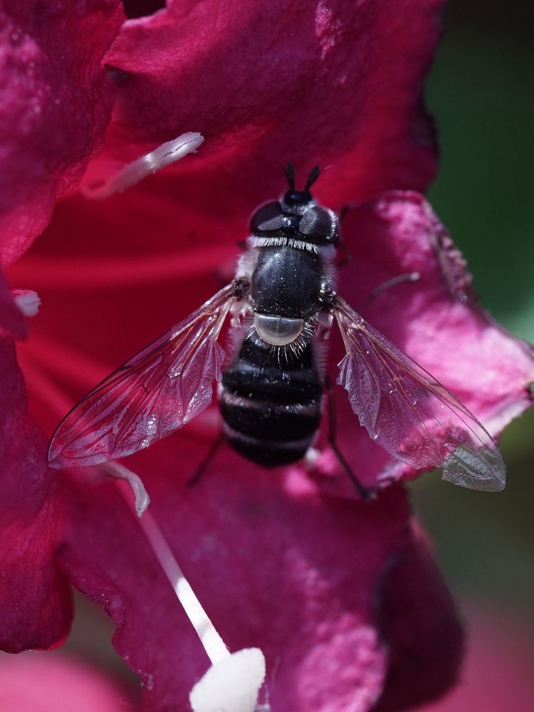 Photograph by Наталья Сенотрусова