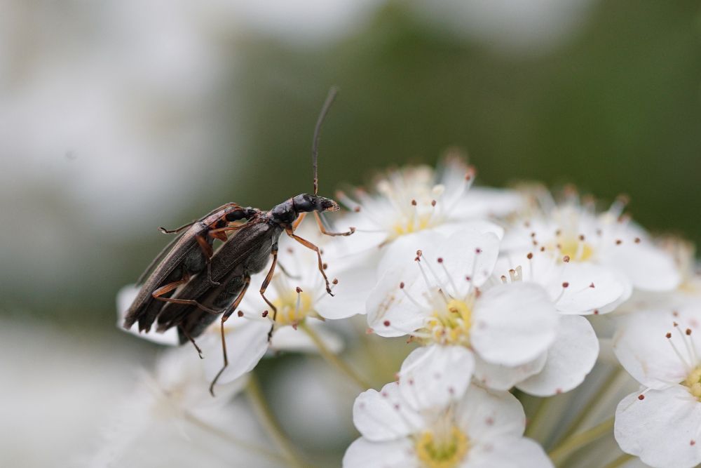 Photograph by Наталья Сенотрусова