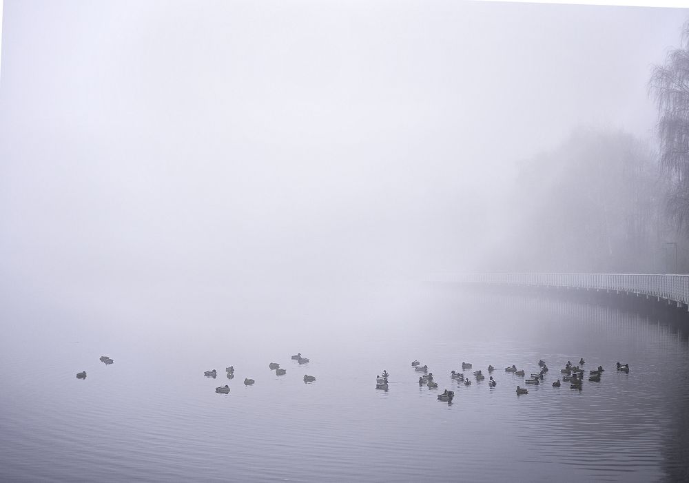 Фотография автора Polina Sobolnikova