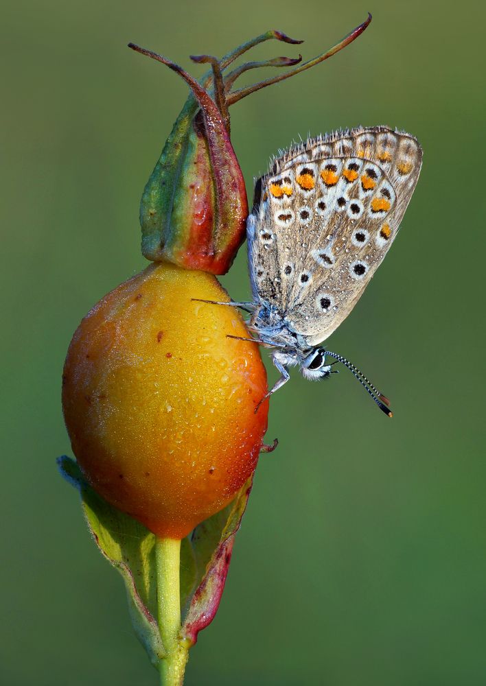 Photograph by Павел Колеснев