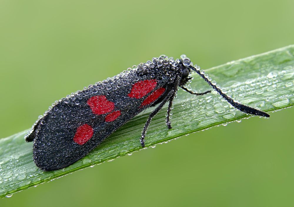 Photograph by Павел Колеснев