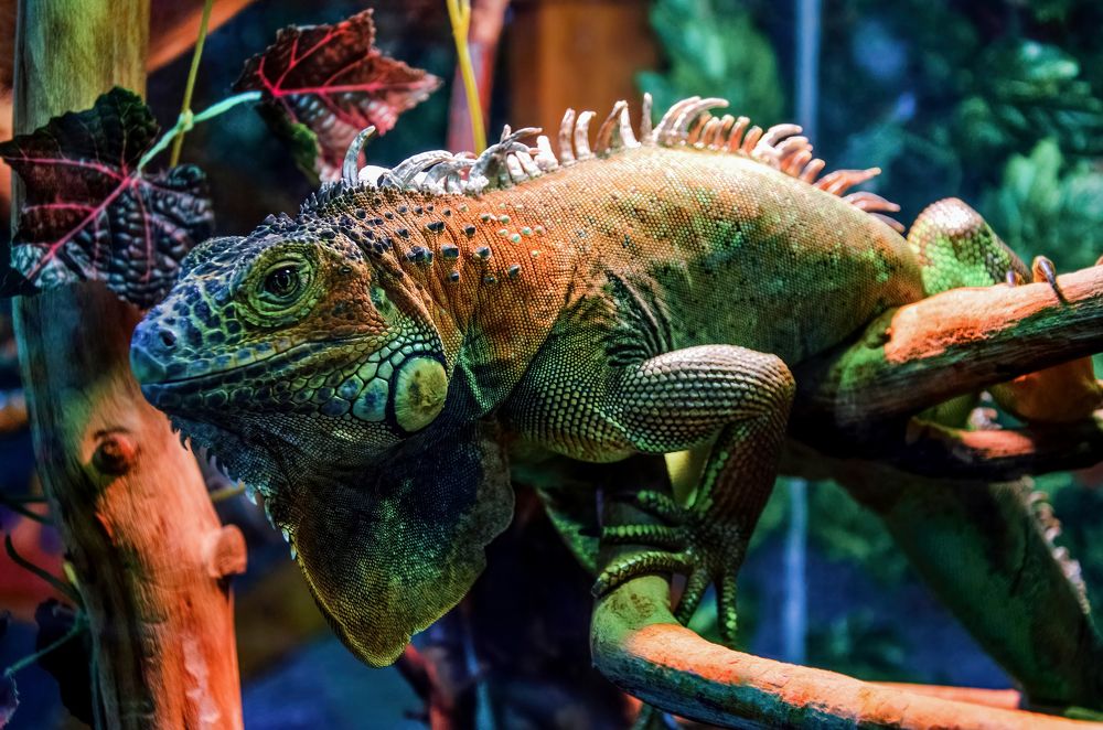 Photograph by Сергей Газизов