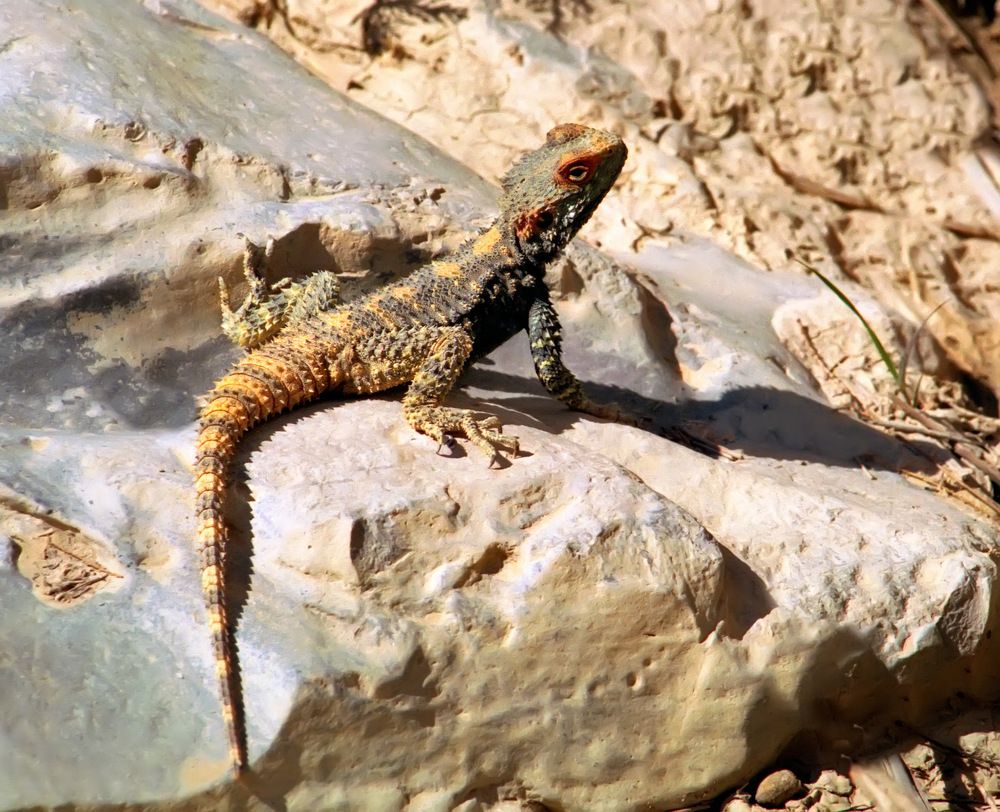 Photograph by Alexandr Makarenko