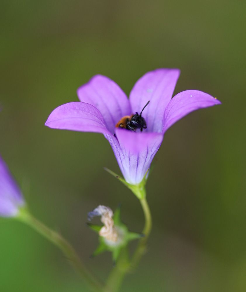 Photograph by Виктория Писаренко