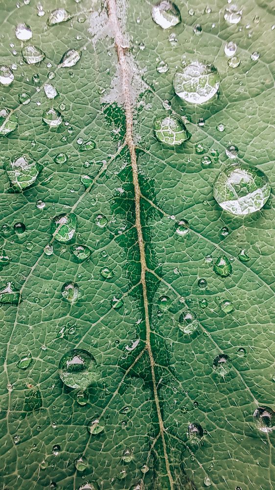 Photograph by Юлия Козельских