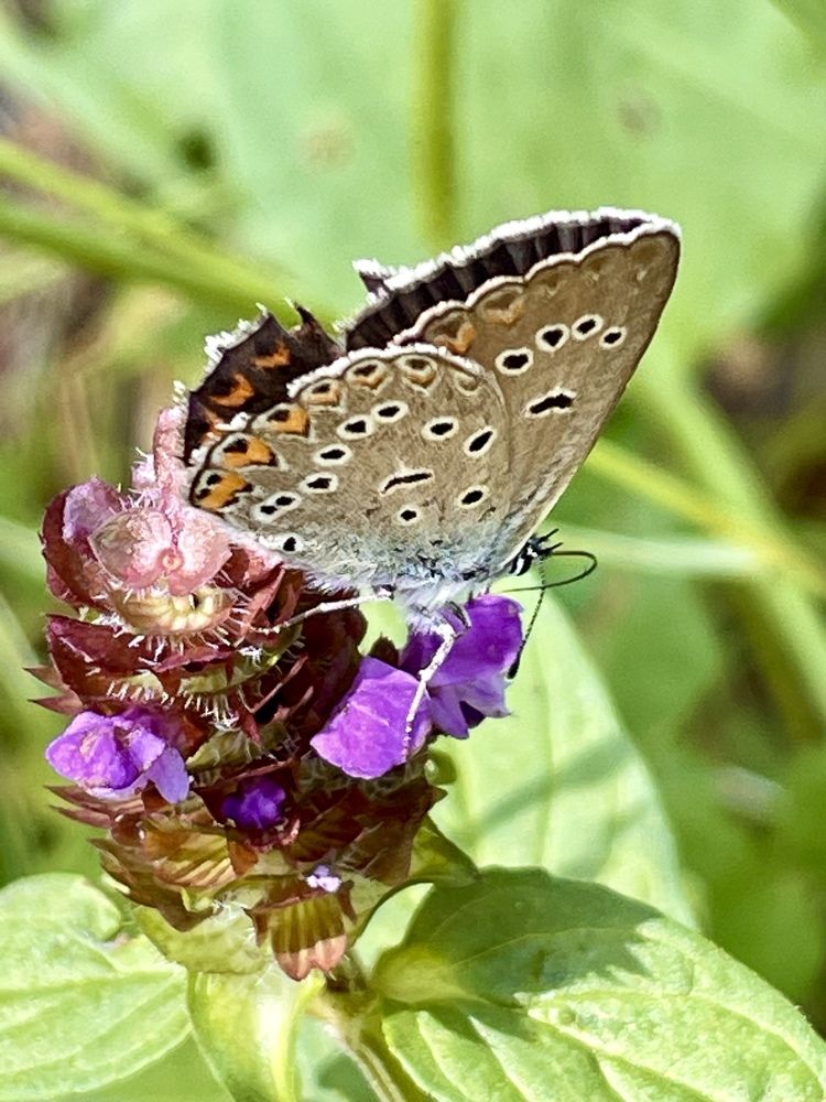 Photograph by ЛИЛИЯ БОБКО