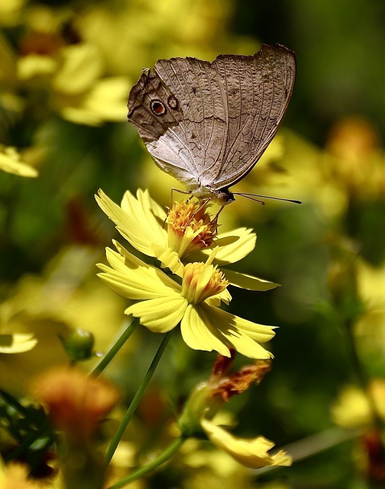 Фотография автора Quynh Nga Pham