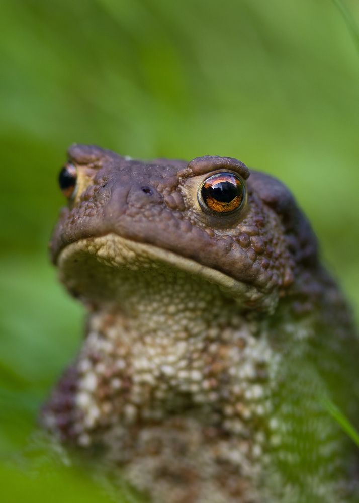 Photograph by Наталья Гайдукевич