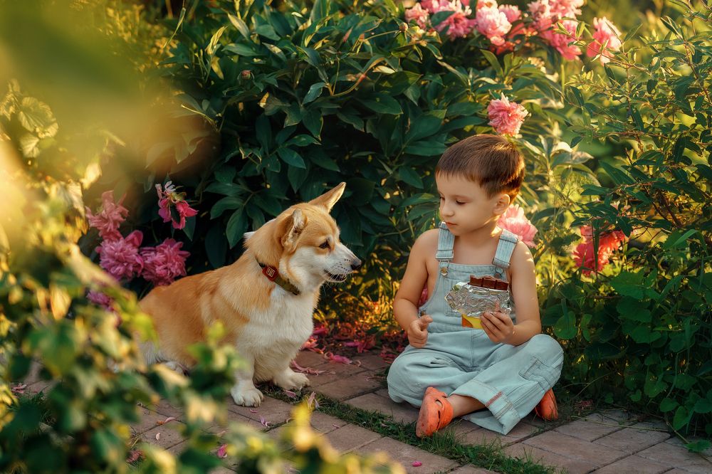 Photograph by Анна Огуло