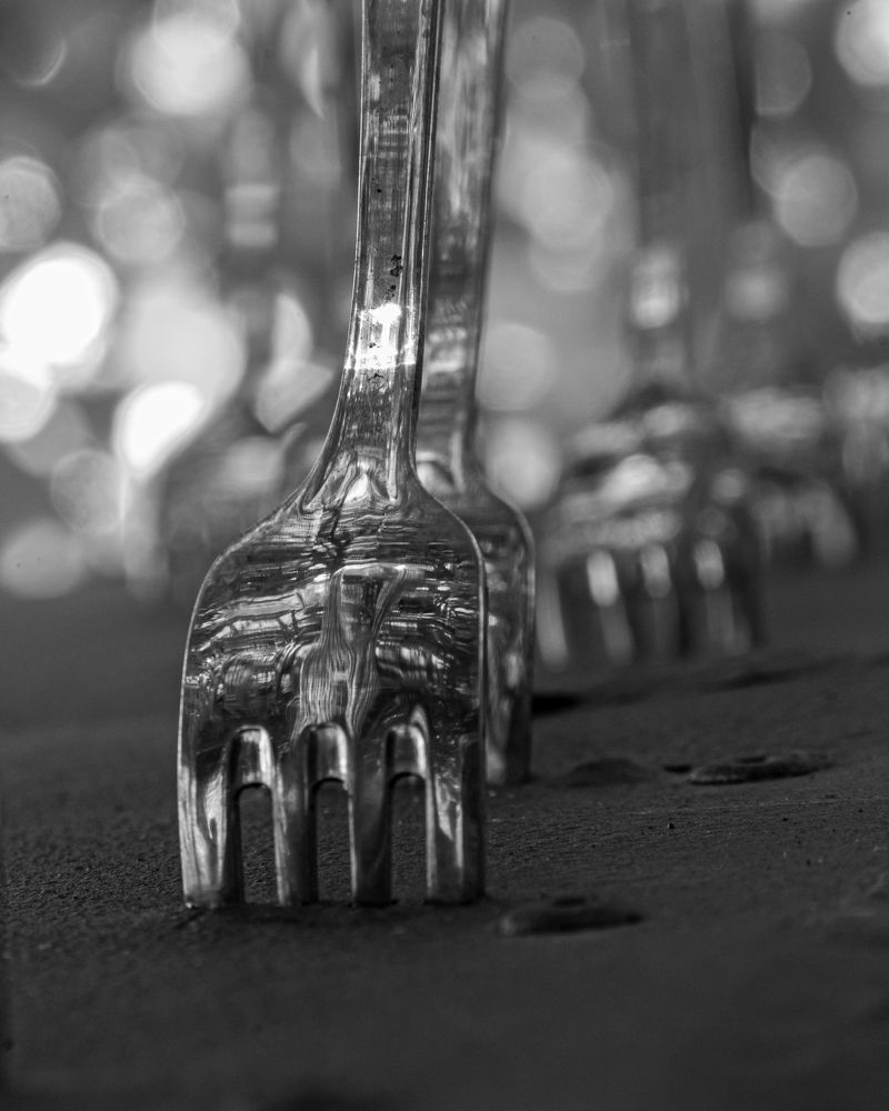 Photograph by Raúl Enrique Alvarez Rodríguez