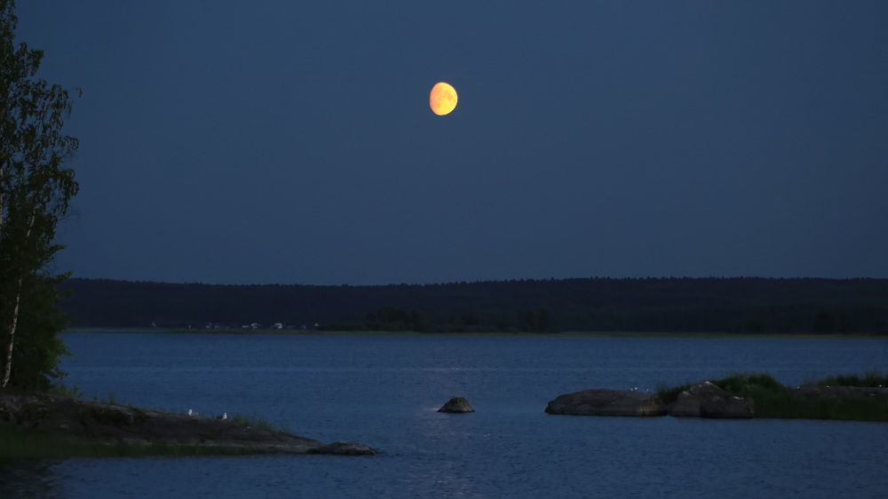 Photograph by Дмитрий Петухов