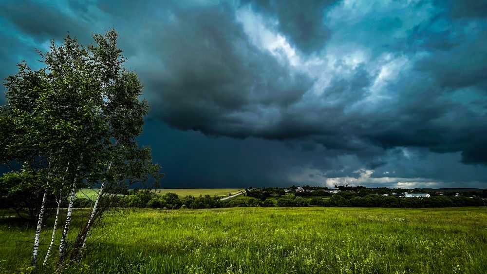 Photograph by Дубинин Сергей