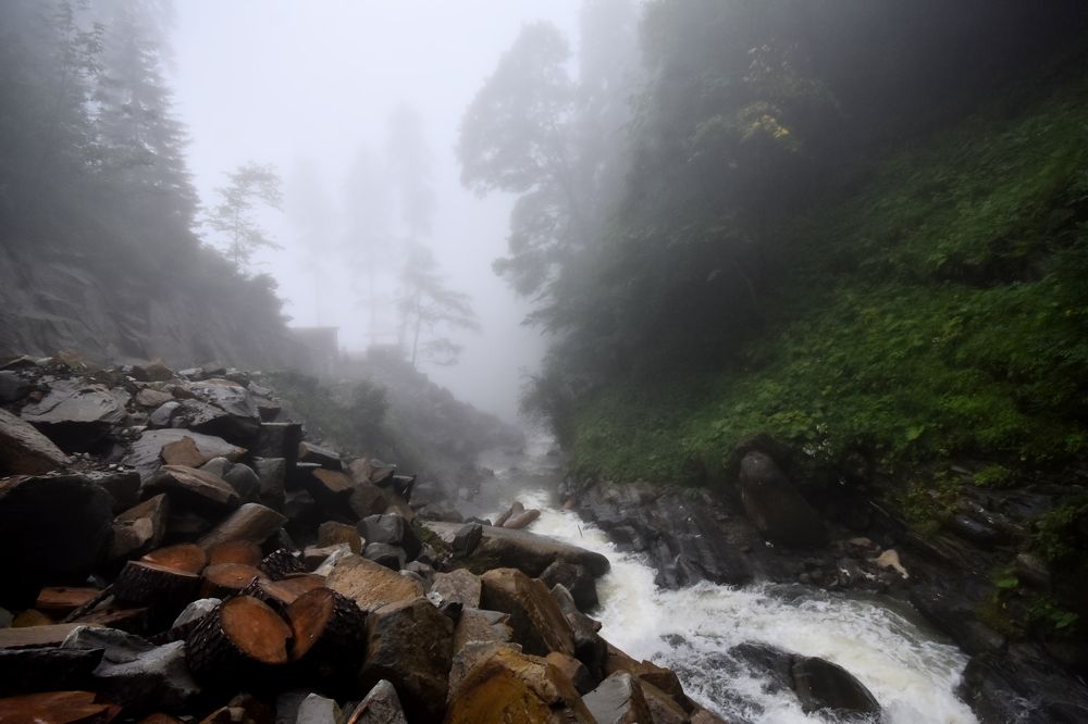 Photograph by Владислав Кравцов