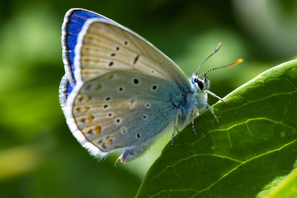 Photograph by Сергей Белов