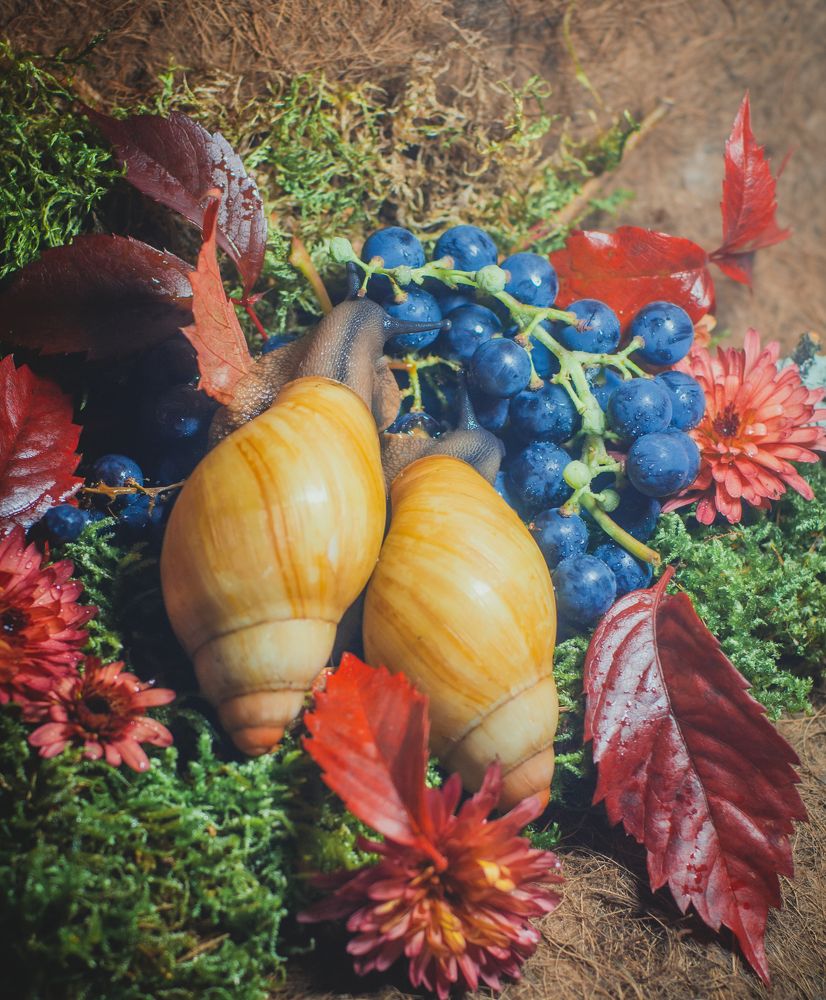 Photograph by Ekaterina Fadeeva