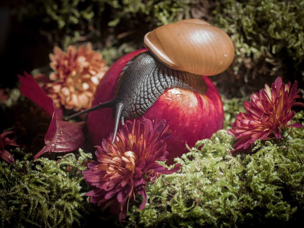 Photograph by Ekaterina Fadeeva