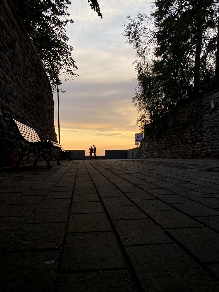 Photograph by Elena Kravchenko