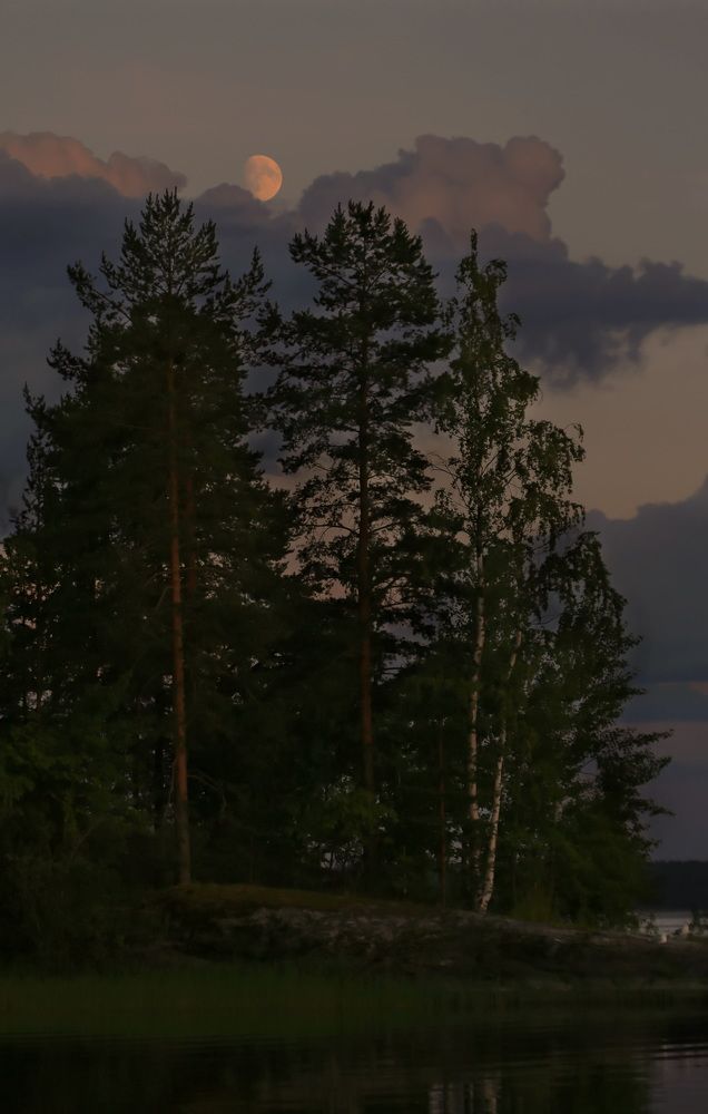 Photograph by Дмитрий Петухов