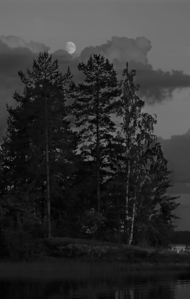 Photograph by Дмитрий Петухов