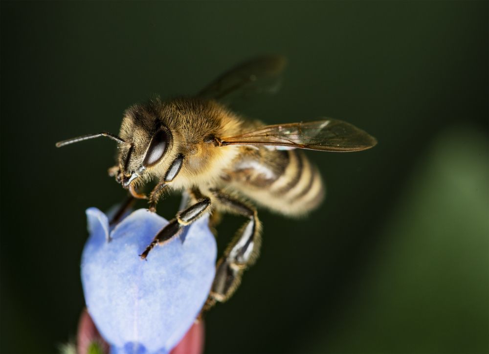 Photograph by Сергей Белов