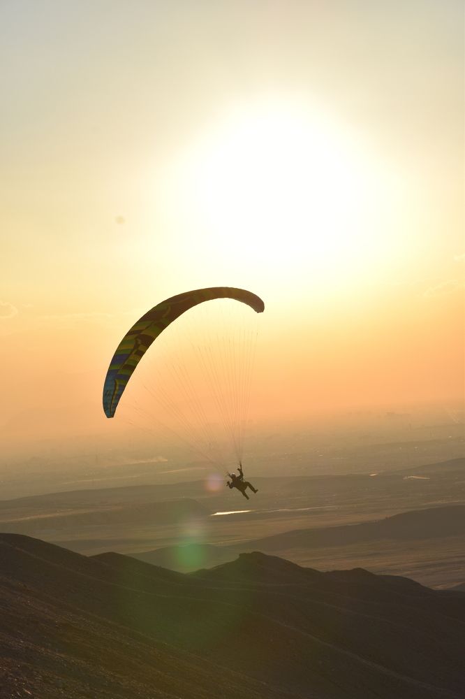 paraglider