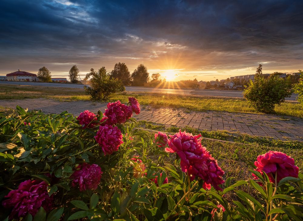 Photograph by Суворов Игорь