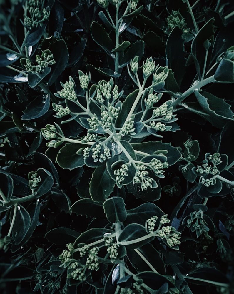 Photograph by Oxana Petlina