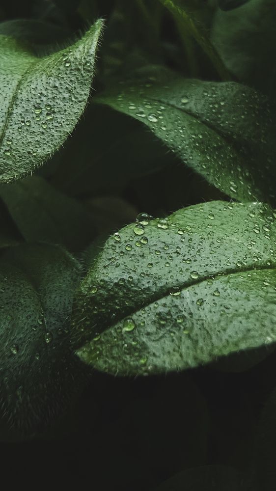 Photograph by Oxana Petlina