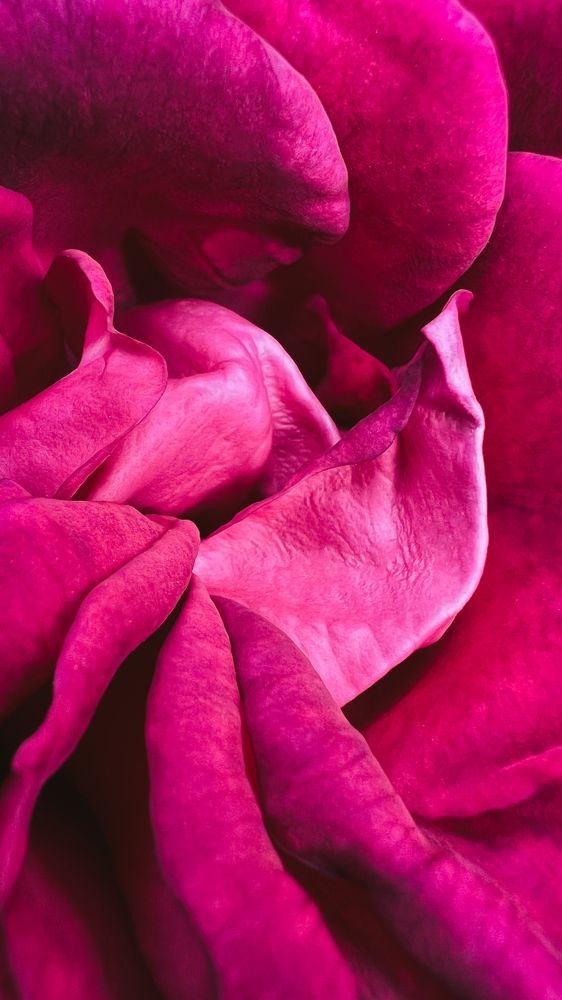 Photograph by Oxana Petlina