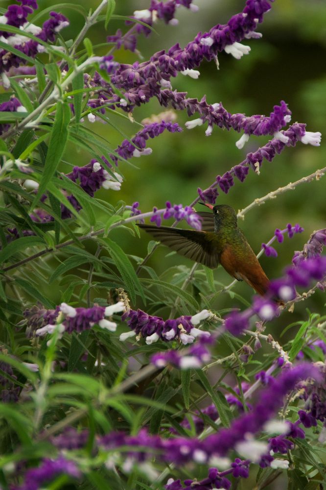 Photograph by Lyubov Agafonova