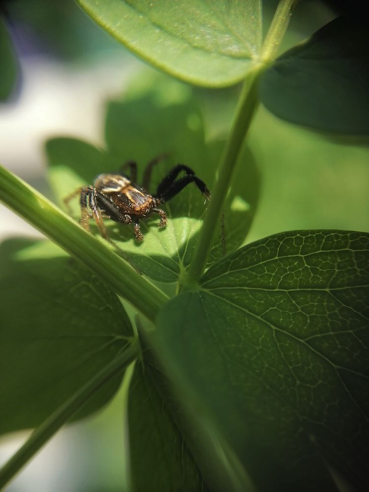 Photograph by Людмила Савчук