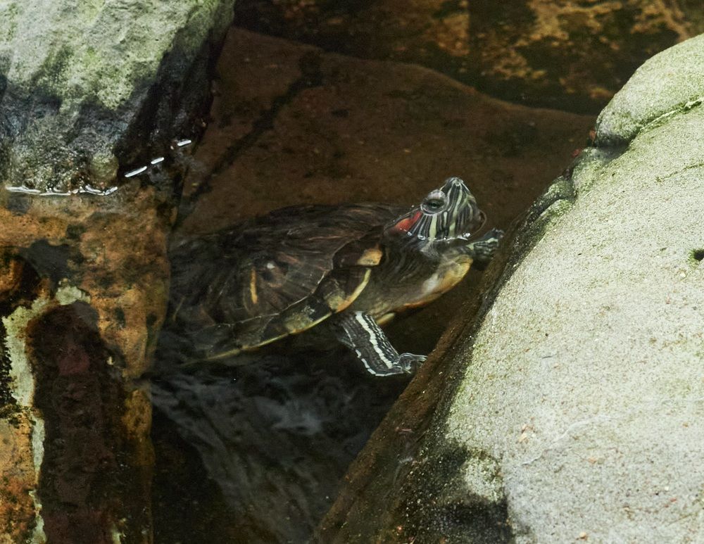 Photograph by Inna Tatarchenko