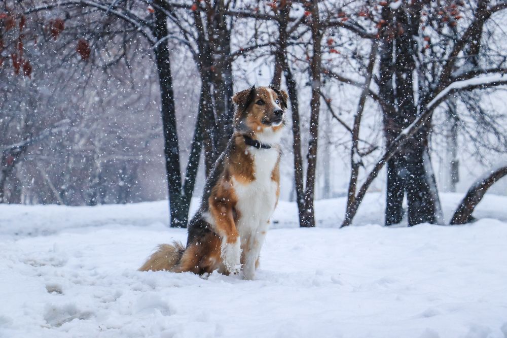 Photograph by Анна Вербилова